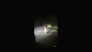 Sexy Indian Wife hotlaavaa 2 New Getting Massage